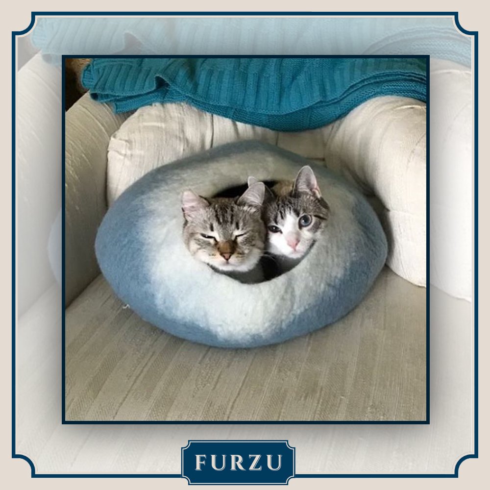 FurzuPets's tweet photo. A comfortable sleeping and playing burrow for cats and kittens of all sizes. providing a personal enclosed place to retreat!
https://t.co/61sXzNUKLd
#catbed #cats #furkid #catlover #ilovemycat #ukcats #catsofgreatbritain #catsofuk #cat🐱 #catlovers #catliving #londoncats https://t.co/c6zVA6oQPw