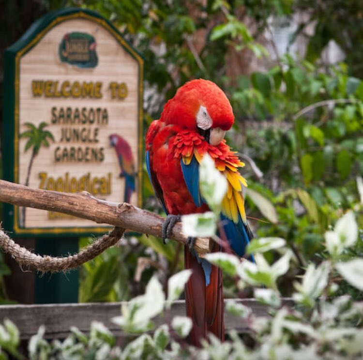 doralflymulti's tweet photo. Uno de los tantos lugares por visitar en Florida!! SARASOTA 😊👌🏼
#vacay #visitFlorida #travel #travelmore #sarasota #Florida #vacationtime #travelgram #traveller #Doraltravel https://t.co/EcDXg08XD7 https://t.co/DMKq1oIkw4