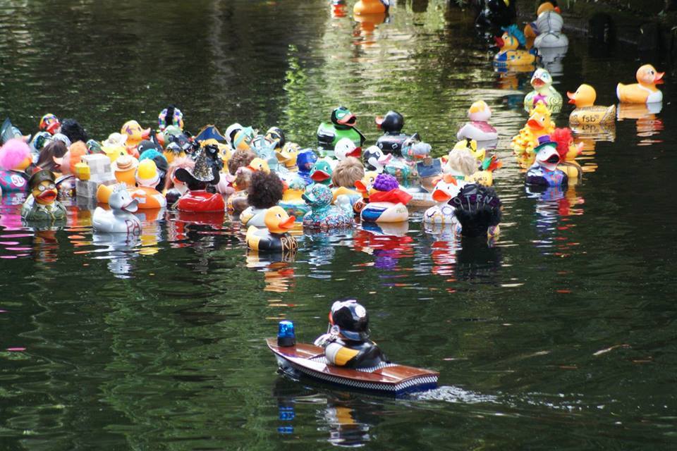 break_charity's tweet image. Get quacking #norwichhour #norfolkhour the @norwichduckrace is up and running and time is running out to decorate your duck! Just £100 will sponsor a duck and for those of you who want to re-enter the race £50 contact sarah.bunn@break-charity.org facebook.com/events/1675950…