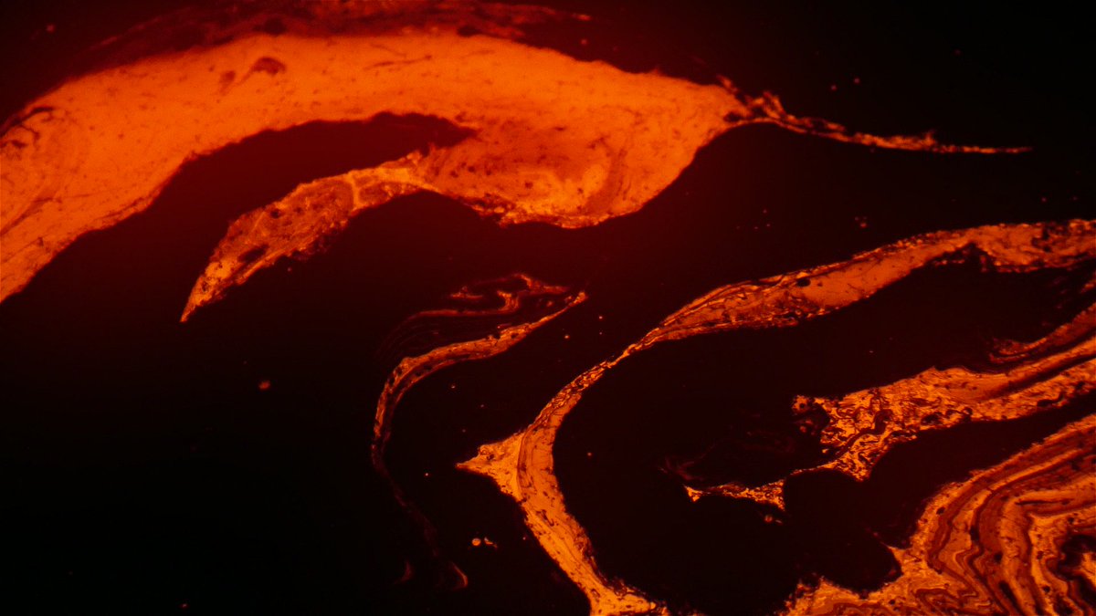 Edwin Seigneur tweet media