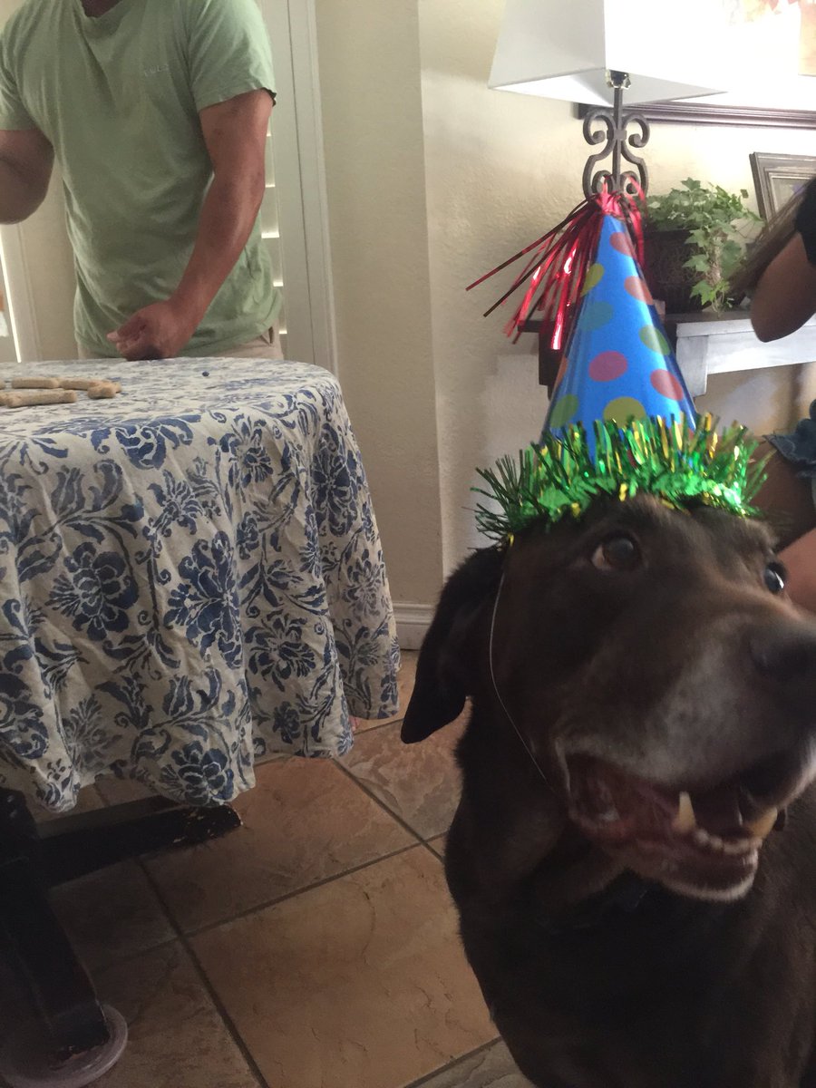 Sabawag's tweet photo. Missing my puppy :/ https://t.co/3BtEwoubUa