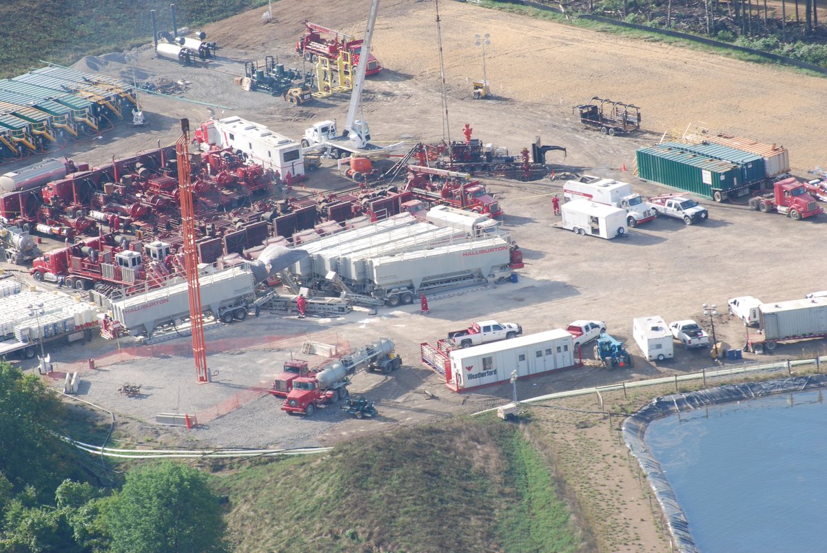 Endocrine Disruption tweet media