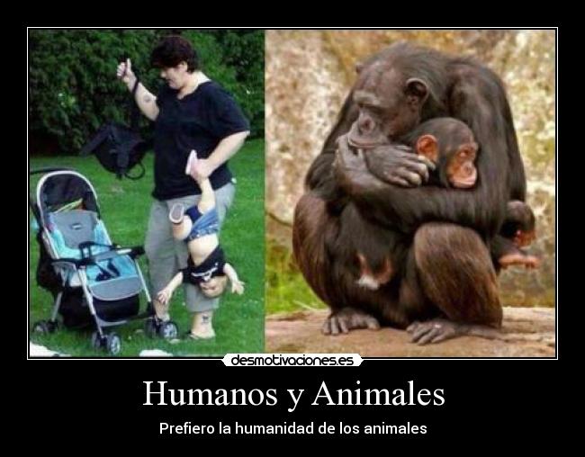 Gloria91191464's tweet photo. @fredy_holzer @GuenterPoyer @LouiseVerdone @morticiasre @BelenFGonzalez @xaloc7 @pg2paloma @GuarrillaUrbana @JenGonzGallery @cansincayli1 @Cre8iv_Edge #HumanEs #AnimalOs https://t.co/YE6Hk3HXYj