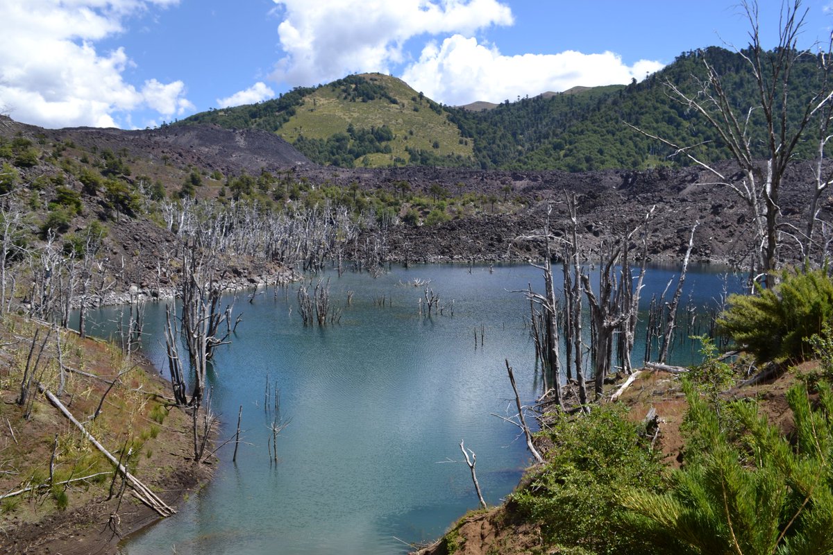 ChileFoto's tweet photo. Reserva Nacional Malalcahuello, en mapudungun: corral de caballos.
Provincia de Malleco, IX Región https://t.co/O7U7N7h7lj