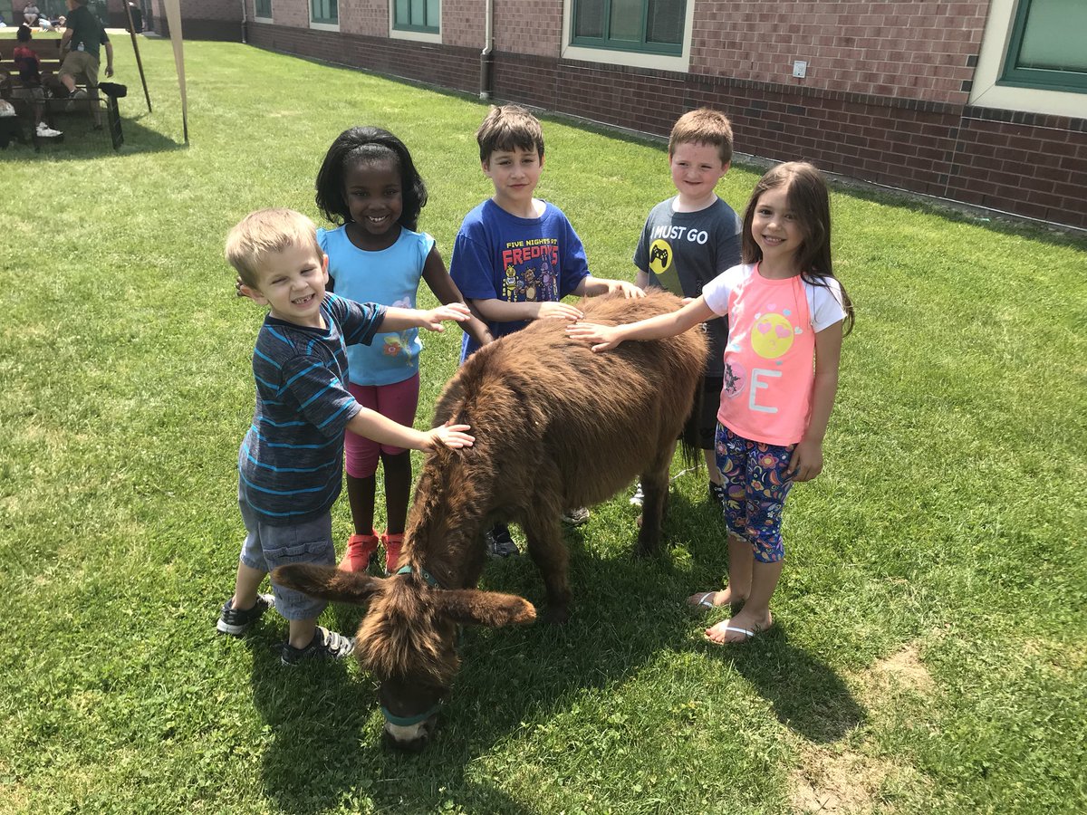 MrsRalstonKdg's tweet photo. A busy day and Jump Start. After learning about farm animals through books and videos last week, we had Honeyhill Farm visit so we could see and research them in person. #bjumpstart #handsonlearning #LCS_BC @sherimchenry @lmichaelsbowman https://t.co/k0opnwbfuV