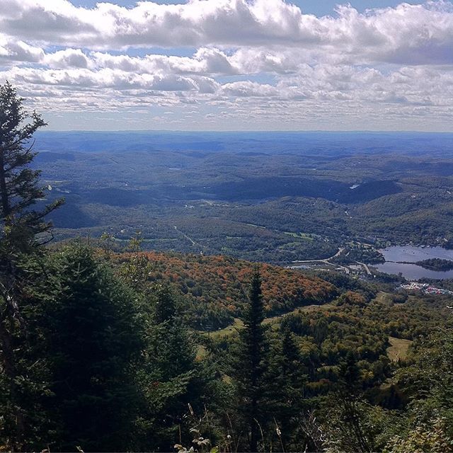 Cet été, trouvez votre piste préférée à Mont-Tremblant. Venez explorer notre vaste réseau de sentiers! 🍃
This summer, find your favourite trail in Mont-Tremblant. Come explore our network of trails!
Par/by @wheretonextvacations #MontTremblant #ExploreCanada #Canada #Tremblant