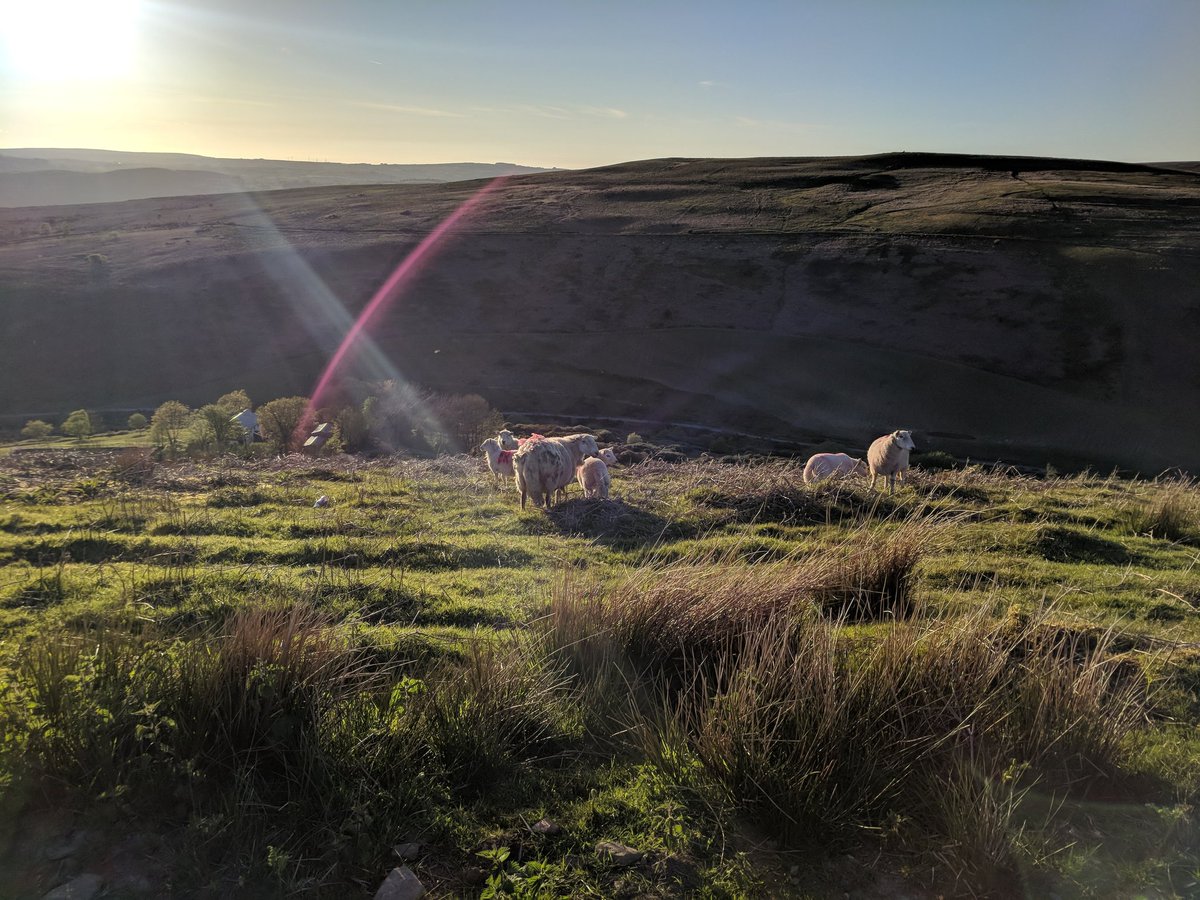 LausPiercy's tweet photo. There is nothing better than a well earned view 😍 the climb is ALWAYS worth it! So lucky to have this on my doorstep 🤩 #RunBont #socialrun @uktrailchat @UKRunChat @racecheck @runtagit https://t.co/IYXu5g0Ebd