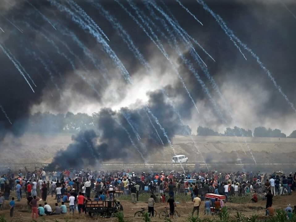 ertansuzgun's tweet photo. Yıkılasın İsrail enkazını göreyim,
Sana devlet diyenin yüzüne tüküreyim!

#StopKillerIsrael #Kudüs https://t.co/coqqydBN29