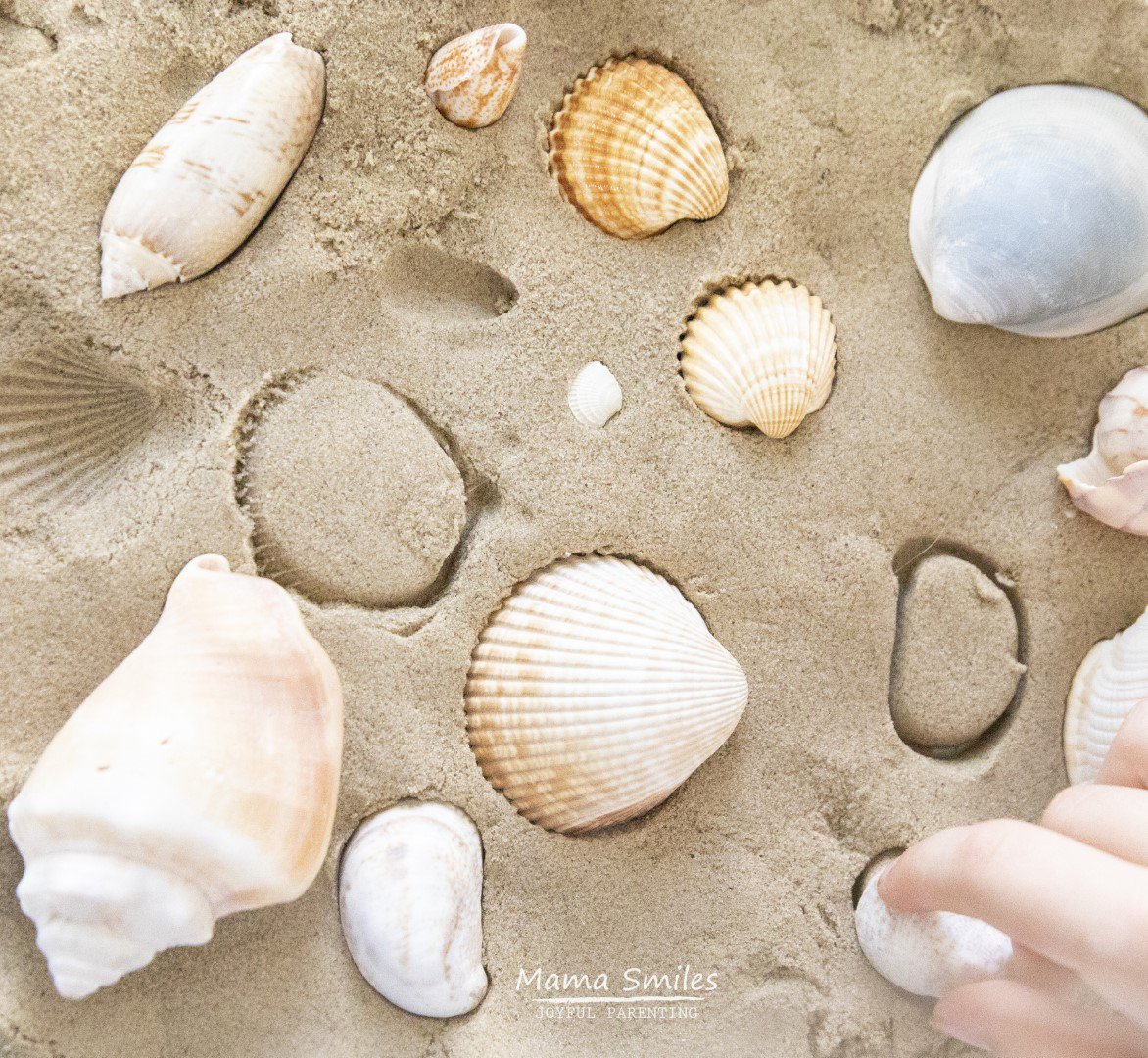 kinetic sand seashell