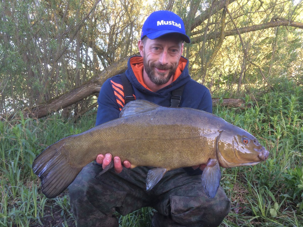 PerringMatthew's tweet photo. It’s been a fantastic start to my Tench season in the past two sessions https://t.co/WVInpAR6T1