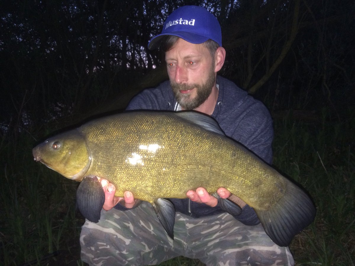 PerringMatthew's tweet photo. It’s been a fantastic start to my Tench season in the past two sessions https://t.co/WVInpAR6T1