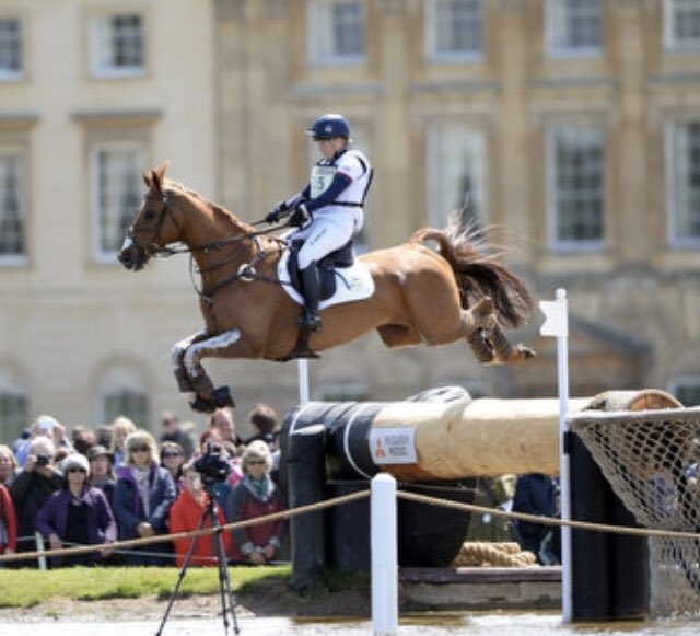 CollettEventing's tweet photo. Absolutely devastated to have to make the decision to retire Grand Manoeuvre 💔 It’s been an honour to ride such an unbelievable horse... clear round 2 x Badminton CCI****, Boekelo CCI*** and top 15 at a Senior European Championships 😍 #ThankyouForTheMemories https://t.co/P0e9FsvItn