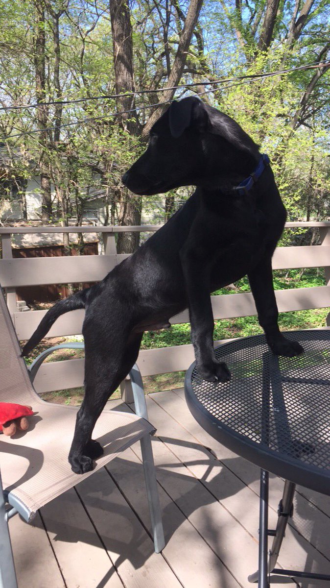 Handsome little fella