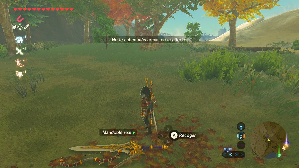 AniGamer9's tweet photo. #BreathoftheWild #NintendoSwitch >:v https://t.co/nobXeA2b9S