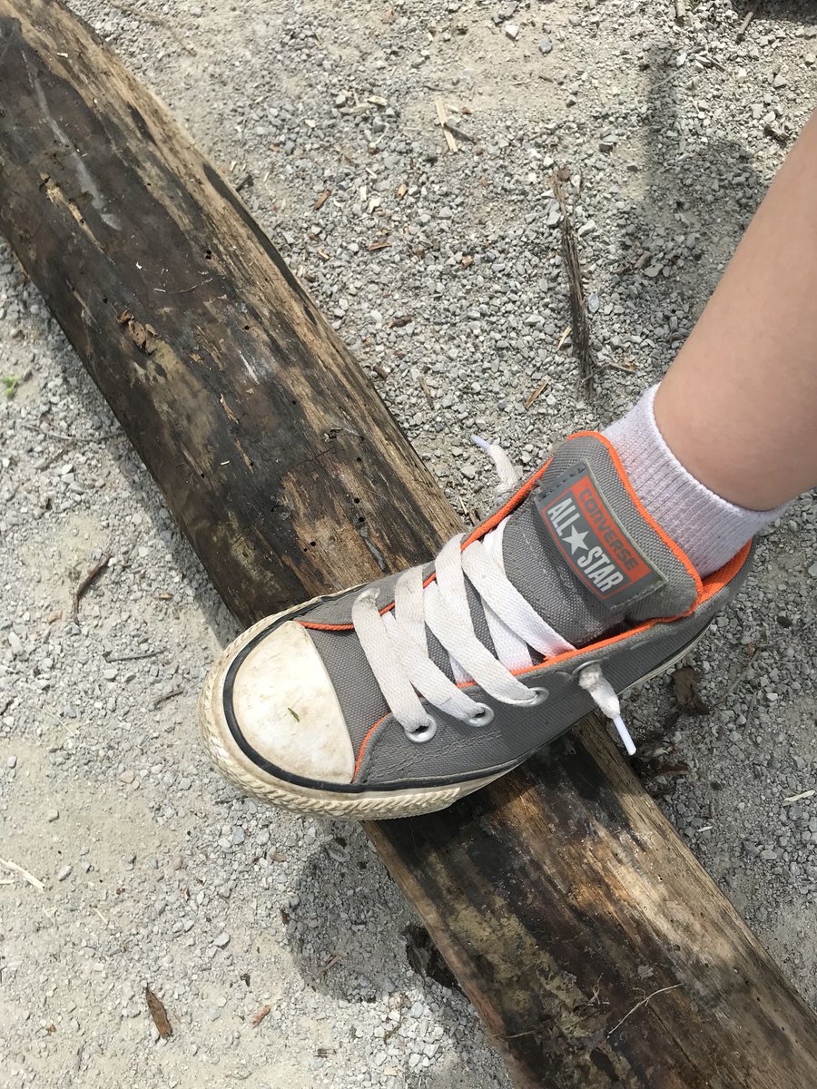 Mrs_LeeKell's tweet photo. A Scholar found clues! #kinderlearn #thekinderway #heardwoodpeckers It might be a bug or a woodpecker? @cookstowncps https://t.co/V56giPrwri