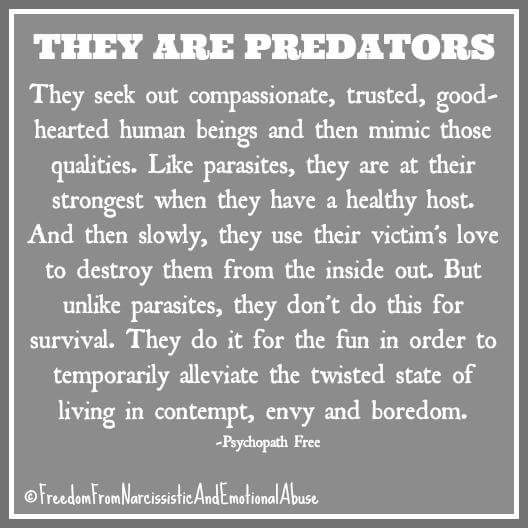 FFNAEA's tweet photo. #Narcissists seek out the strongest, most successful people to mimic. It's called #Mirroring. Then they use our strongest qualities against us to destroy us. #narcissist #narcissisticabuse #ffnaea https://t.co/DxfrHlUCjd