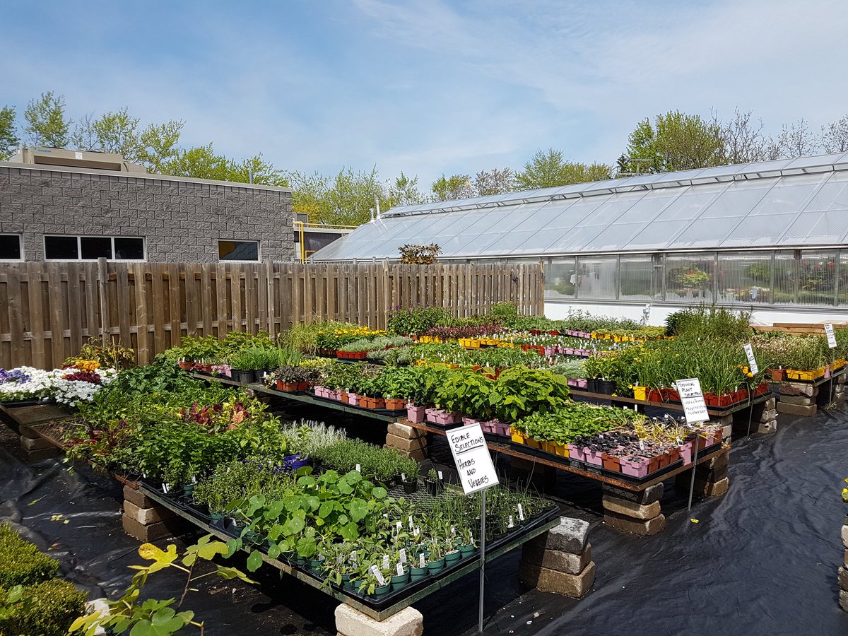 The Garden Centre is OPEN. Come and get Annual, Perennials, Shrubs and more. You can also bring your own pots and our students will create something unique just for you. #Horticulture #YQG <a href="/StClairSRC/">St. Clair SRC</a> <a href="/stclairsaints1/">Saints Athletics</a>
