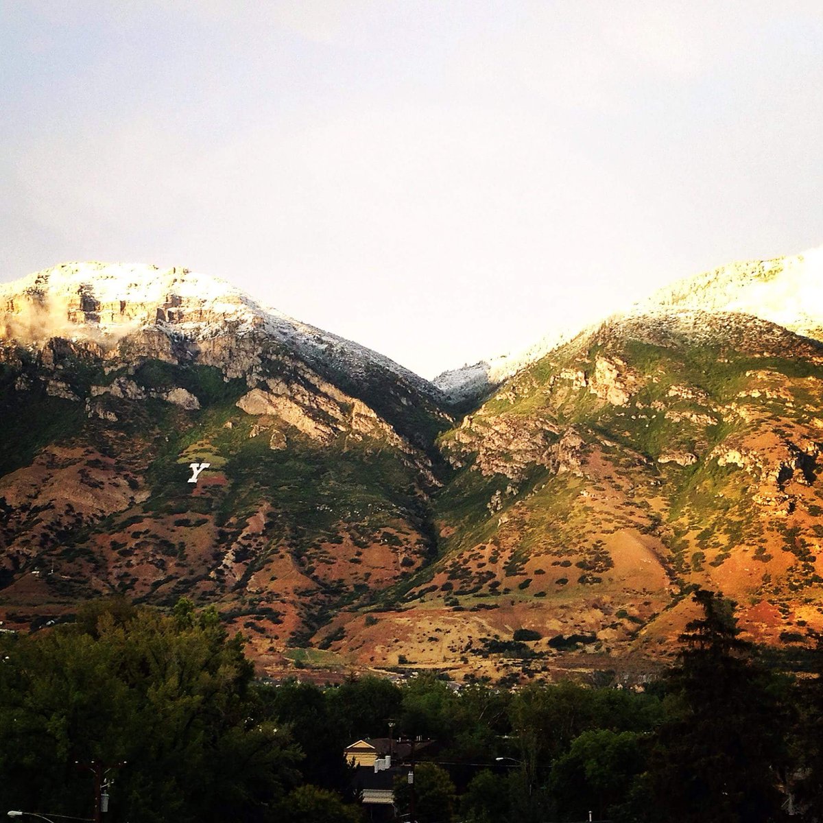 Provo Buzz tweet media