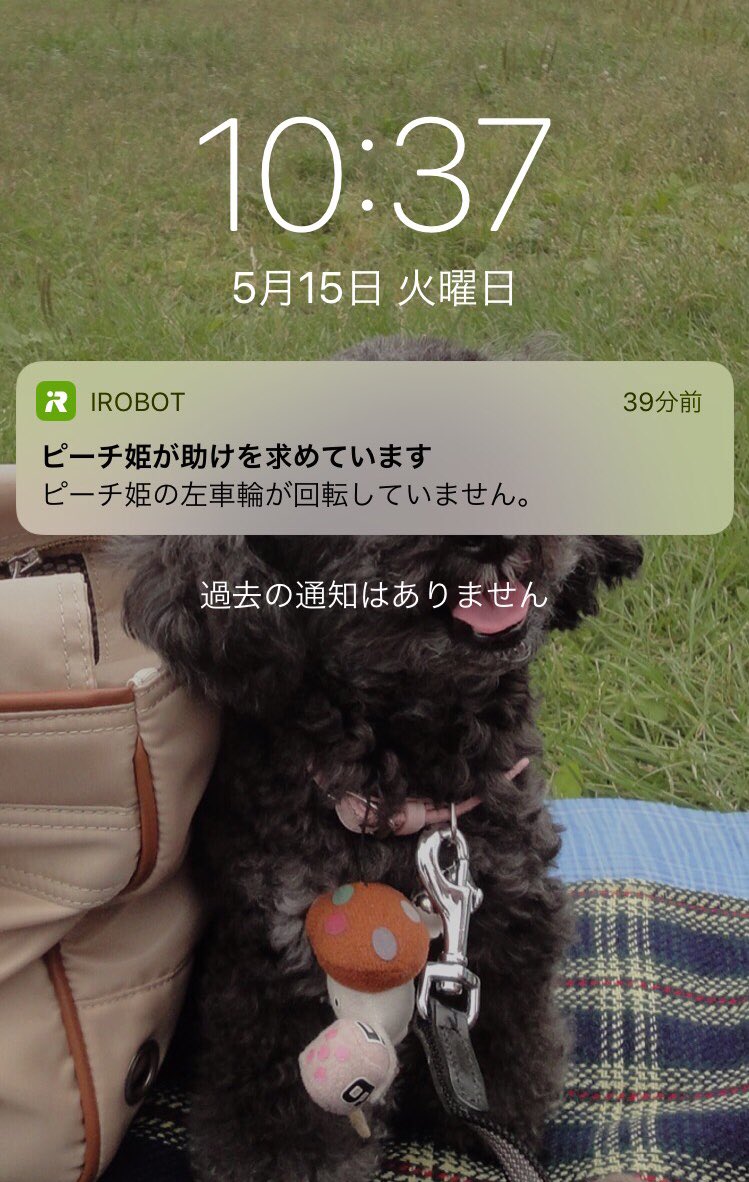 ルンバに名前を付けた結果 ピーチ姫が助けを求めています と謎のゲームのオープニングと化した通知が送られてくる Togetter