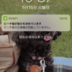 ルンバの名前は自分でつけれる？ピーチ姫にしたら驚きのオープニングみたいになったｗ