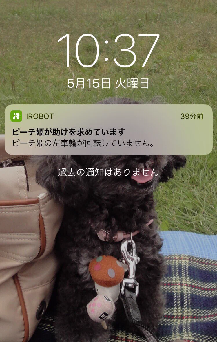 ルンバの名前は自分でつけれる？ピーチ姫にしたら驚きのオープニングみたいになったｗ