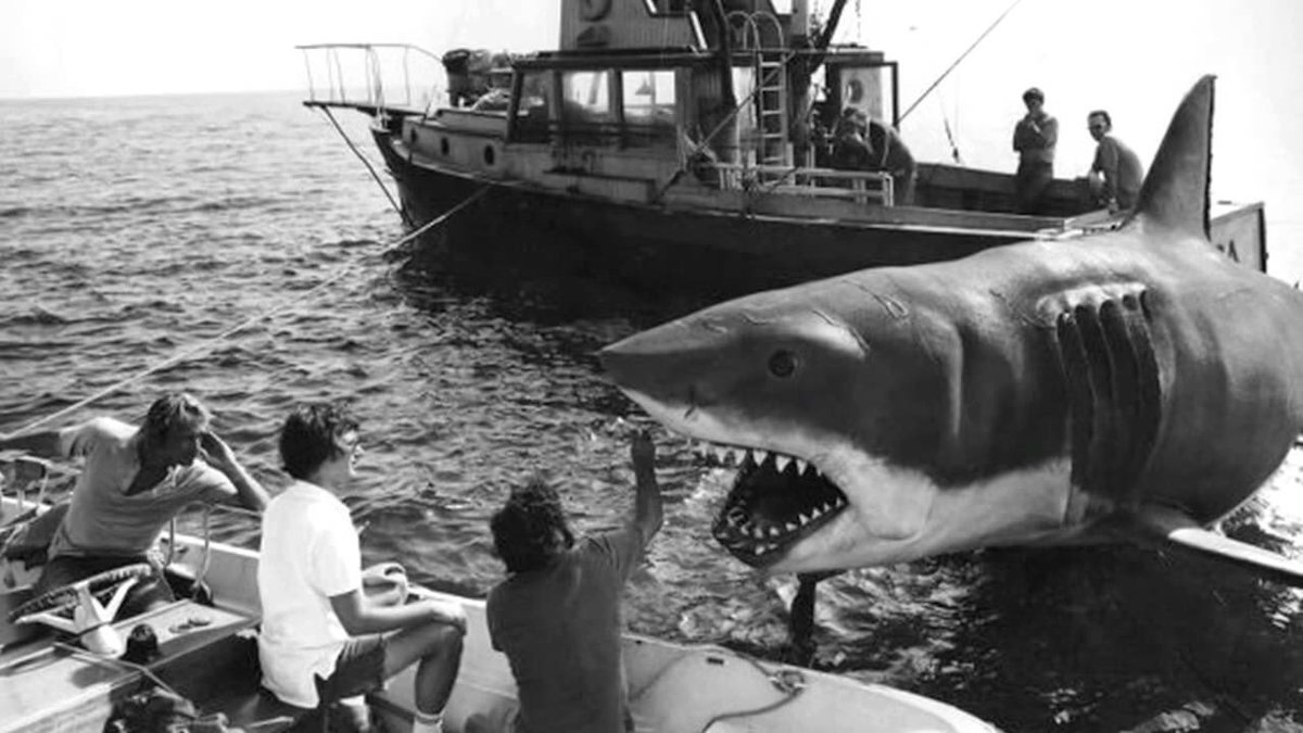 KateMcG2001's tweet photo. #moviemonday #firstsummerblockbuster #stevenspielberg 1975’s #stillterrifying #nightmareinducing JAWS #RIPRoyScheider @RichardDreyfuss #RIPRobertShaw #classicthriller #RIPPeterBenchley
https://t.co/tBcEcMYhPY
https://t.co/OjKy2xIp0q https://t.co/zg0AMgZWkX