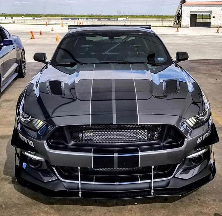 only_mustangs's tweet image. Clean 😈💦