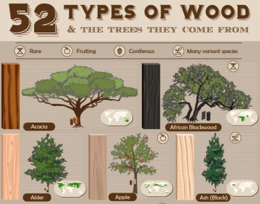 Architizer's tweet photo. Infographic: 52 Types of Wood and the Trees They Come From: https://t.co/z5Udf3iweM #ArchitizerMaterials https://t.co/PY4s2eKZGP