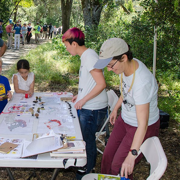 Stanford Jrbp On Twitter Video About The Ant Survey At Jasper - angie nakano and merav vonshak share their passion for ants at the jasper ridge open house on saturday https jrbp stanford edu jasperridgeopenhouse2018