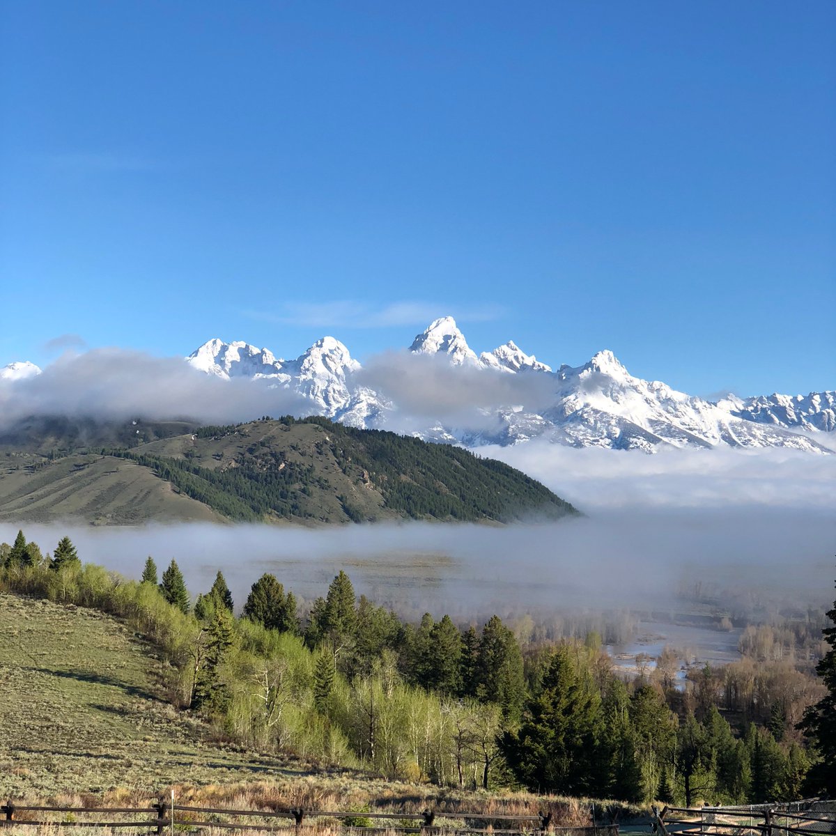 Monday mountain meditation. #jacksonhole #jacksonhole #tetons #findyourpark