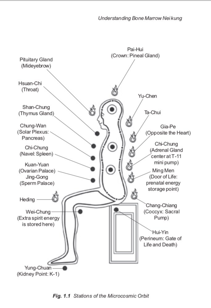 TaoFlowing's tweet photo. Practice the microcosmic orbit meditation and awaken the energy of each gland and your connections to heaven and earth.

From Bone Marrow Nei Kung, by @MantakChia https://t.co/knZOD2D8sq