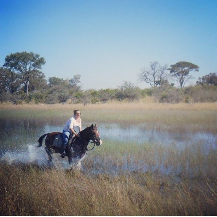 TrueTravel_'s tweet image. Riding through the wilderness in Botswana is an experience like no other, you feel completely free 🐎 📸: @rawbotswana