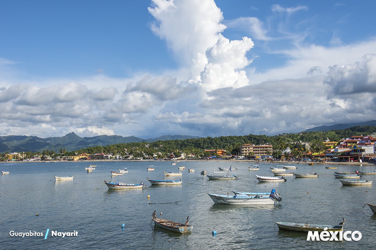 galvez beach club tweet media