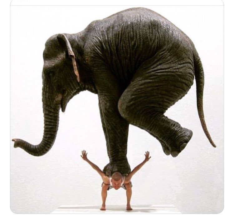 gpilates's tweet photo. La FÉ nos hace que las cosas sean fáciles, hace q sean posibles. Cuando acallamos nuestra mente y escuchamos nuestro interior, la confianza hace la magia. Confía en el Universo conectándote desde lo posible y los sueños 🕉 https://t.co/aB8jFD6fAn