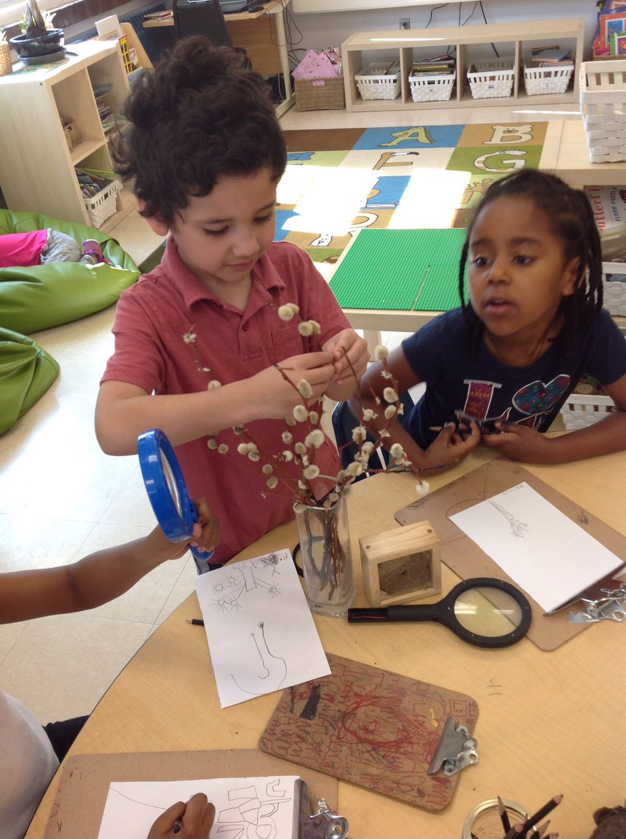 hollydumond's tweet photo. A popular discovery centre this morning: Look and Draw! #reggio #FDKwsd https://t.co/pdpRhnP05X