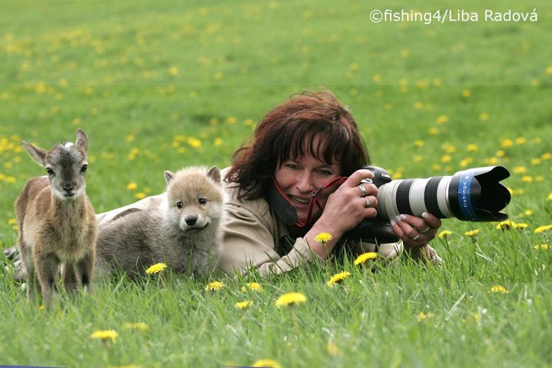 AMAZlNGNATURE's tweet photo. This photographer who was approached by a baby deer and a baby wolf

📷: Liba Radova https://t.co/ffnUCguBOH
