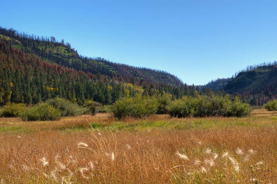 Greer Lodge Resort Cabins On Twitter These Mountains Once