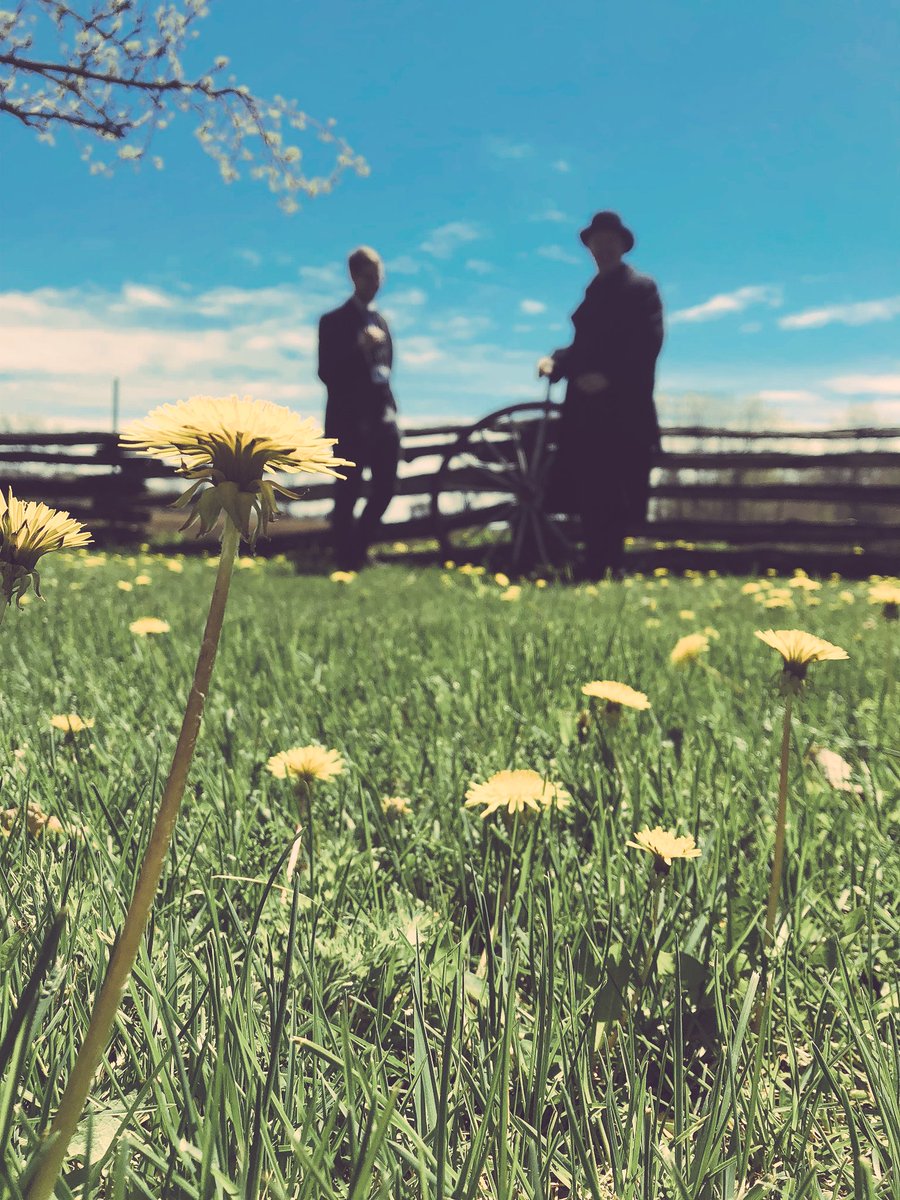 postmortemlarp's tweet photo. It was so beautiful. #larp #postmortemlarp https://t.co/h132ChUbec