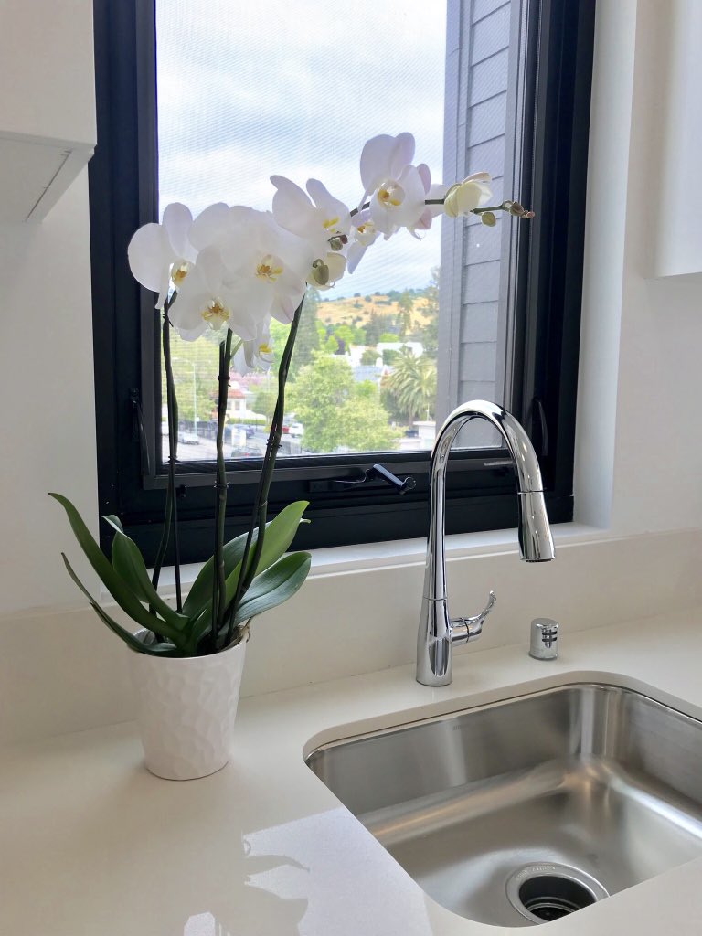 TheAmadorApts's tweet photo. Window Views #OaklandHills #PiedmontAve #TheAmadorApartments #AmadorApts https://t.co/M1JuEvyWXF
