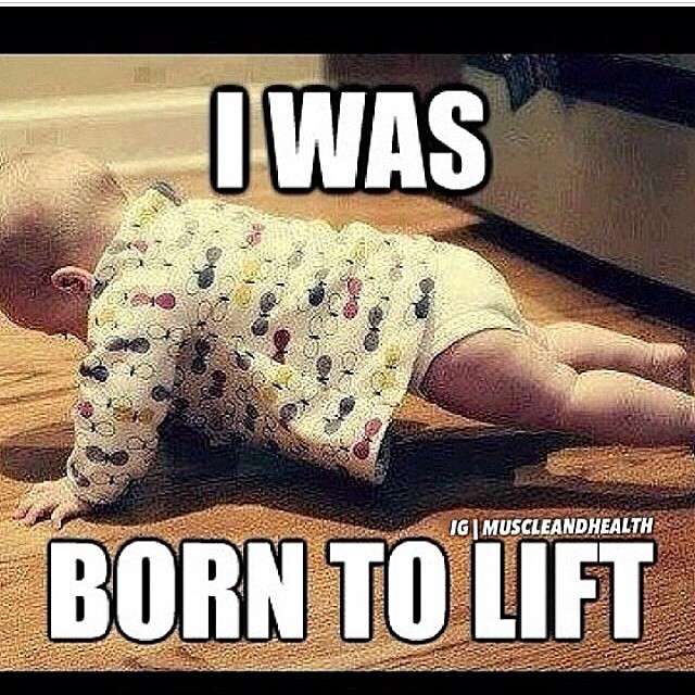 Fitness1Power's tweet photo. https://t.co/sbezXJzhCy