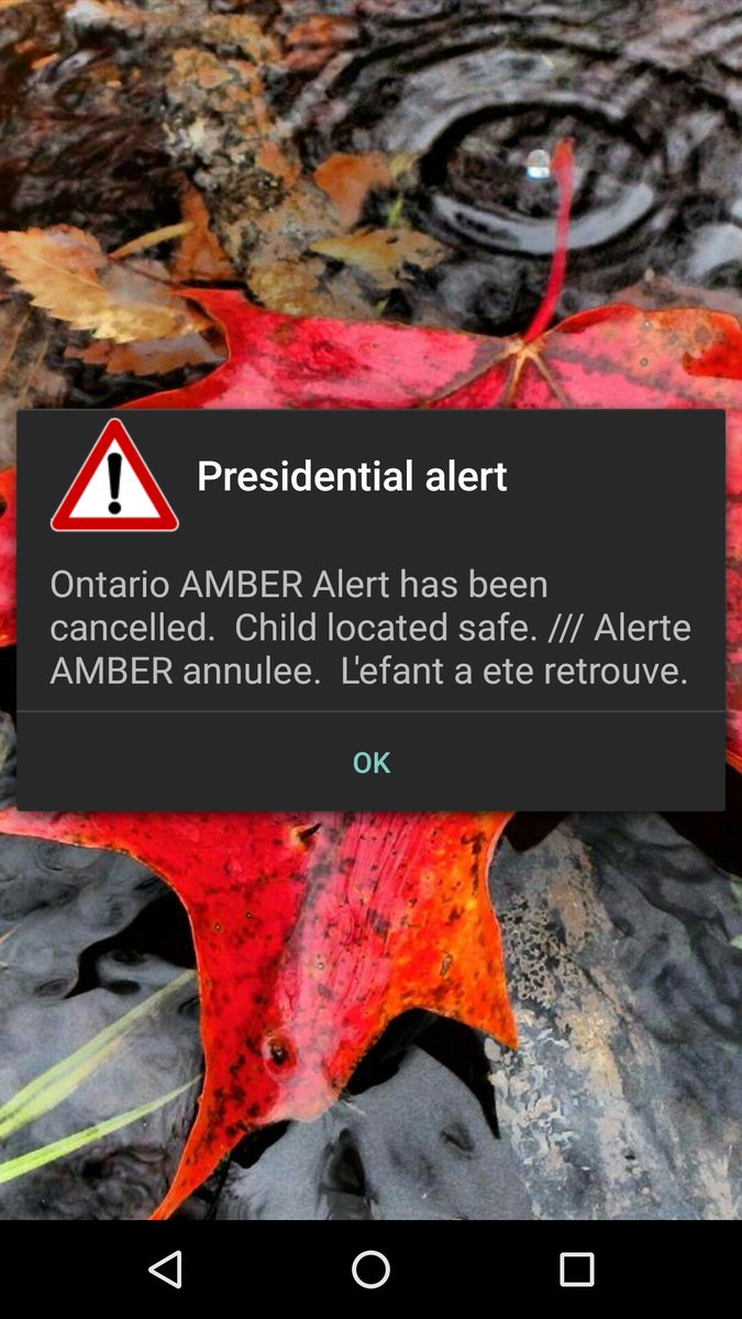 GerryTokar's tweet photo. #AlertReady - awesome concept - could we get a tweak that recognizes #canada doesn't have a President? https://t.co/stP9KqqKU6
