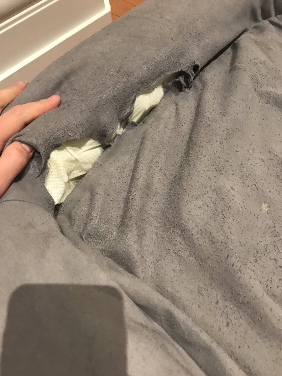 casper dog bed replacement cover