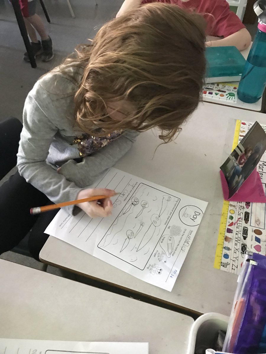 Hard at work writing about our observations! We have some tadpoles today! <a href="/basinviewdrive/">Wokabri</a>