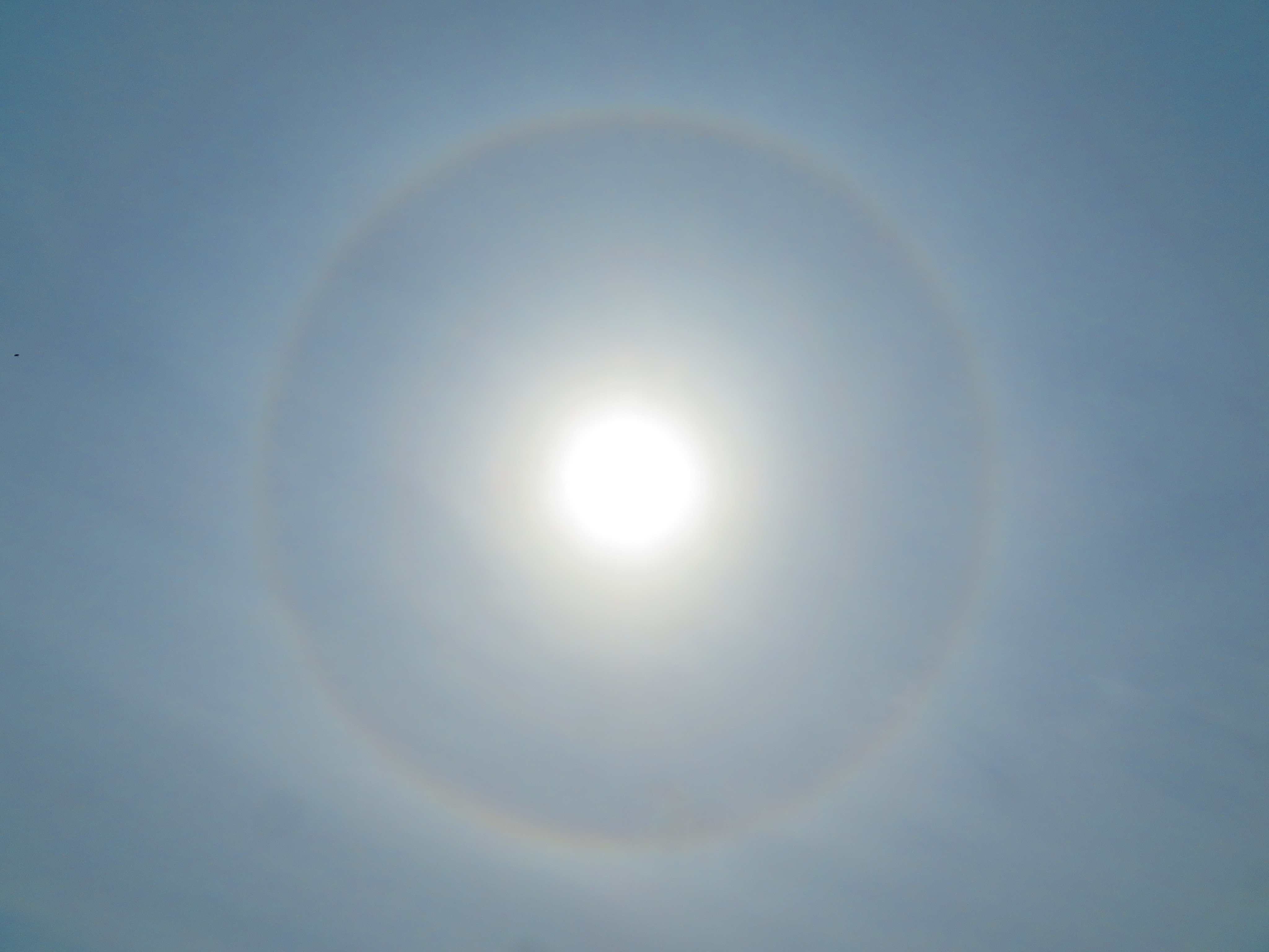 荒木健太郎 on X: 