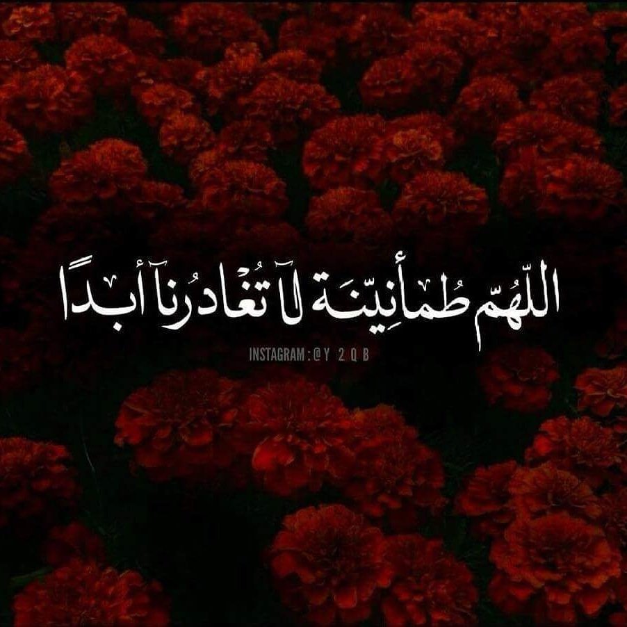 baantAlKUWAIT's tweet photo. امين https://t.co/zQhDAAo3fu