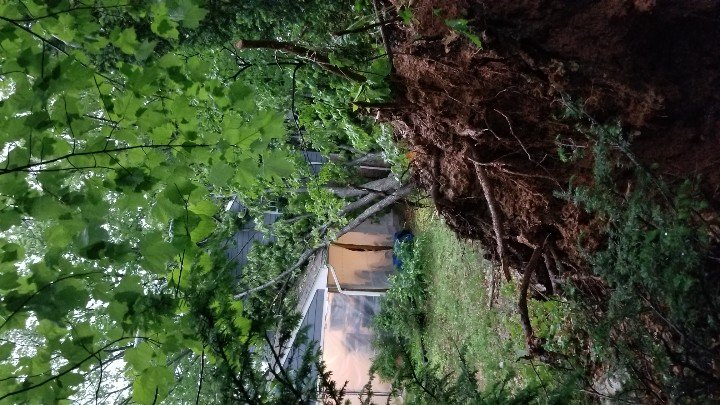 jpuff19's tweet photo. #AnnandaleVA #nbc4 @dougkammerer @amelia_draper @capitalweather .... Neighbor is good but could have been much worse. https://t.co/90xcZw9OtY