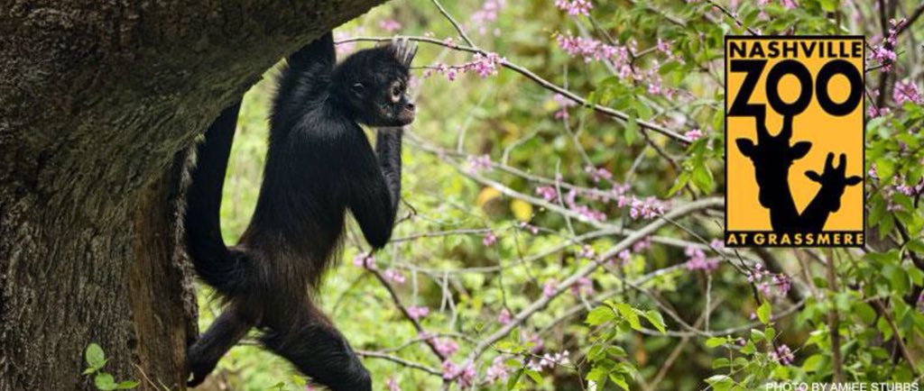 Hall Emery tweet media