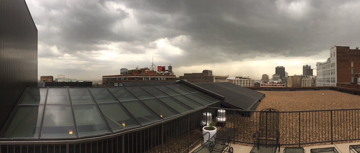 N0SSC's tweet photo. ⚠️ A severe pollen storm warning has been issued for St Louis City ⚠️ #stlwx #pollenstorm https://t.co/gNmFHlP27I