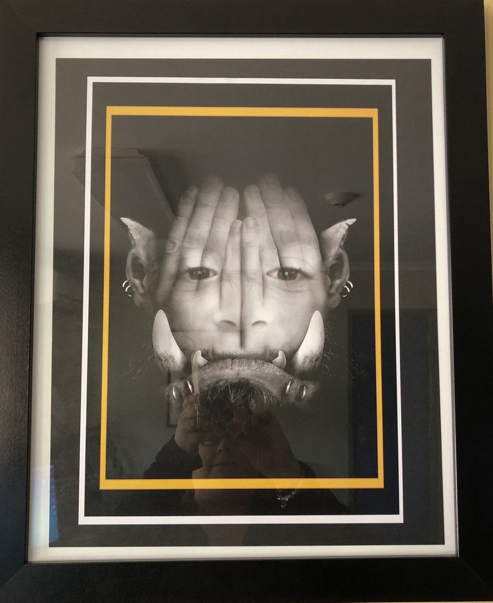 CourtneyJKnight's tweet photo. Selfies from some of our creative Year 1 students. @MtPPSchool @_missta https://t.co/j2QGBwVJwg