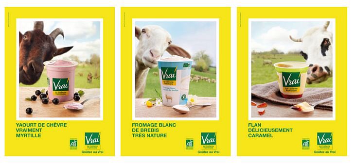 LeBlogAd's tweet image. Animals photobomb for Vrai ! #ad #photobomb #vrai #animals